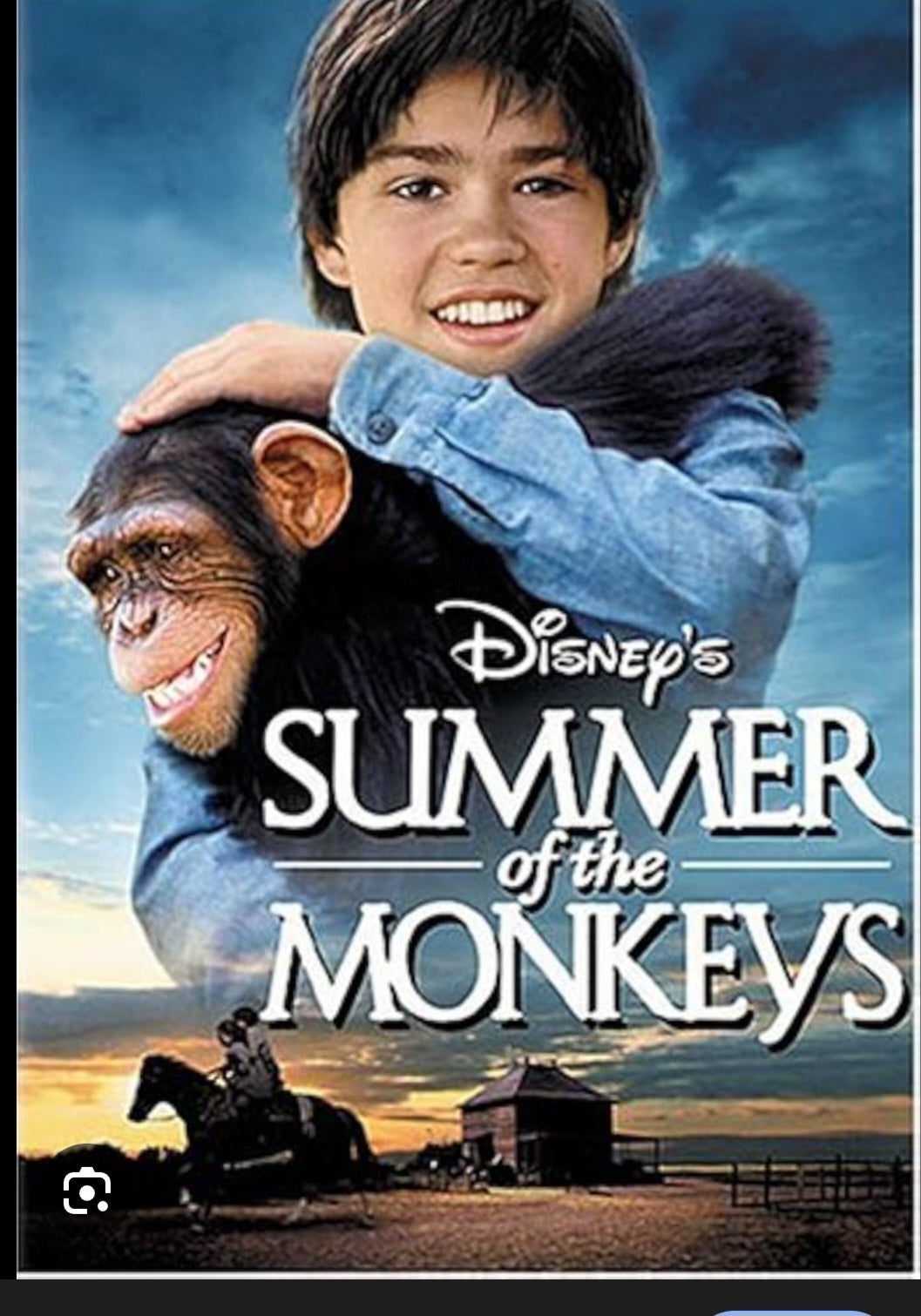 Summer of the Monkeys